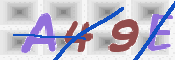 キャプチャ画像
